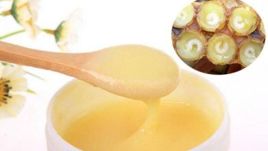 ژل رویال شهد