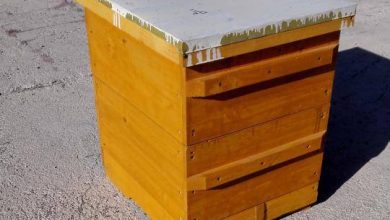 بهترین لوازم زنبورداری