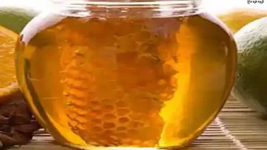 قیمت عسل گون