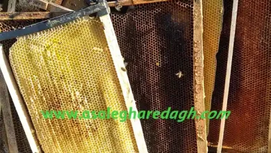 خرید موم زنبورخالص