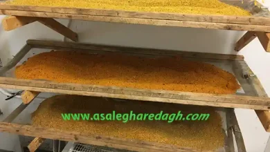 گرده گل کوهی