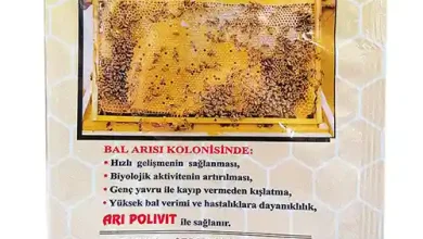 مکمل تقویتی آری پولیویت