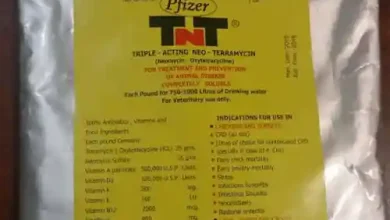 تقویتی TNT زنبورعسل