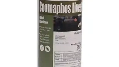 کومافوس ضد کنه