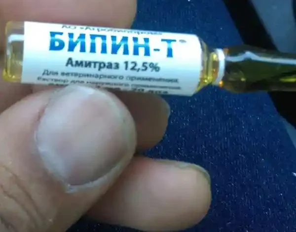  آمپول روسی