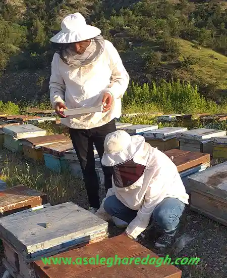 خرید لباس زنبورداری