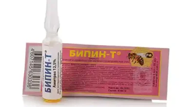 آمیتراز چیست