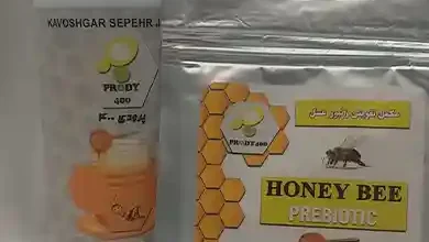 تقویتی پرودی 400