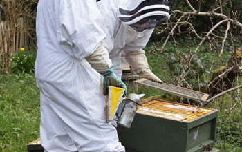 لوازم زنبورداری