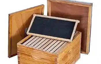 قیمت کندو و طبق