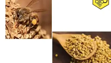 بهترین گرده گل ایران