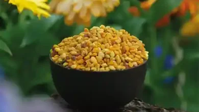 گرده گل زنبورعسل صادراتی