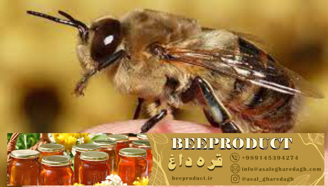 مکانیسم اثر داروی ضد کنه زنبورعسل بر روی کنترل انگلها و تقویت سیستم ایمنی زنبورها