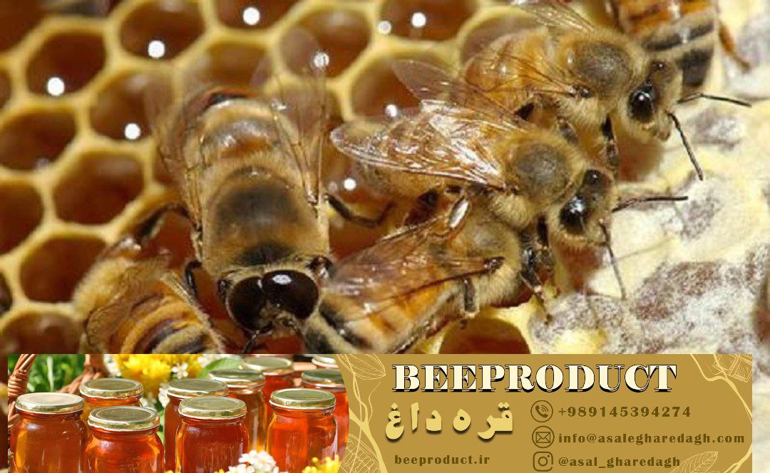 خرید ضد کنه و تقویتی زنبور