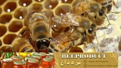 ضد کنه و تقویتی زنبور عسل