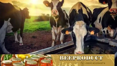 فروش انواع داروهای عفونتی دام