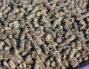 انواع تفاله خوراک دام