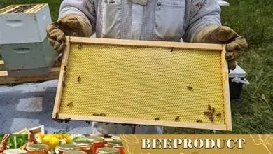 موم تقویتی زنبور با قیمت مناسب