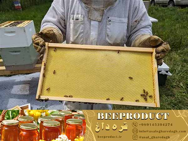 موم تقویتی زنبور با قیمت مناسب