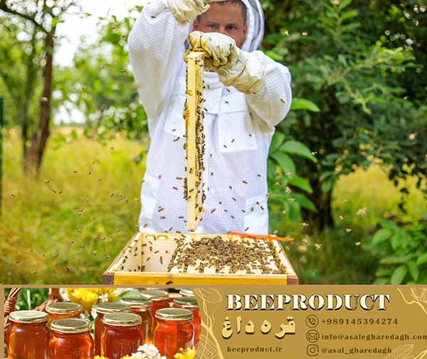 فروش عمده خوراک باکیفیت زنبور