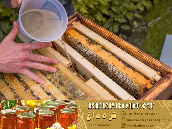 قیمت خوراک زنبور عسل به صورت عمده