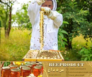 خوراک باکیفیت