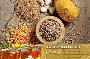 مکمل طیور