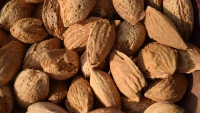 پوست بادام درختی