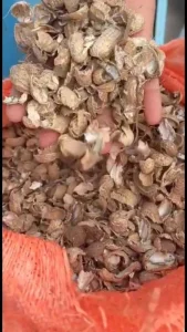 پوست بادام زمینی