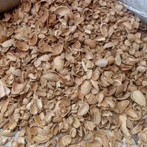 پوست بادام درختی