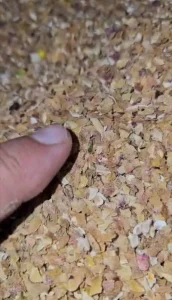 خرید سبوس پسته