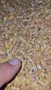 خرید سبوس پسته