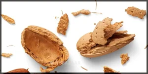 پوست بادام درختی