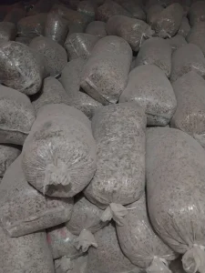 تفاله چغندر وکیوم