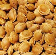 هسته زردآلو