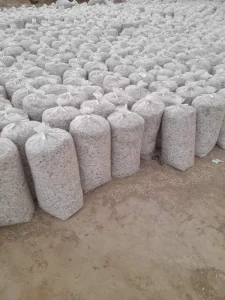 تفاله چغندر وکیوم