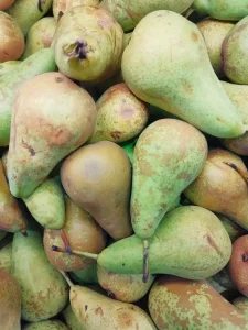 تفاله گلابی
