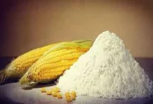 نشاسته دامی