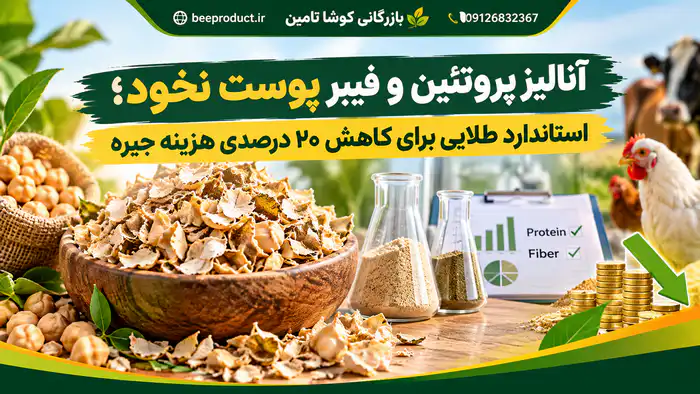 پوست نخود