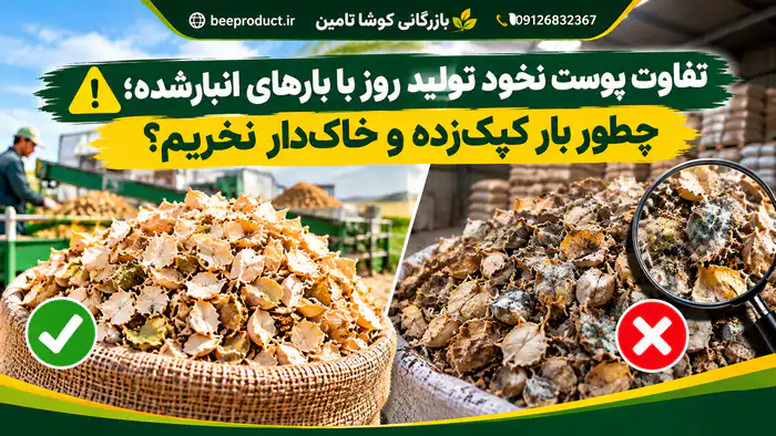 پوست نخود
