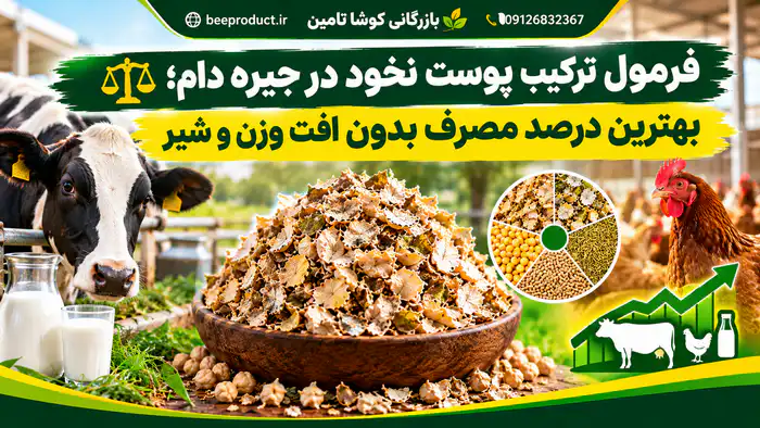پوست نخود
