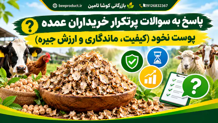 پوست نخود