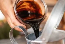 ویناس نیشکر