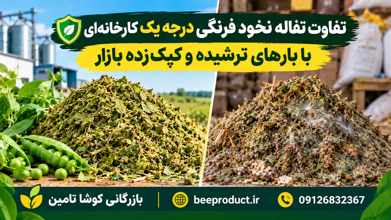 تفاله نخودفرنگی