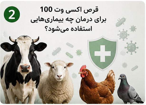 قرص اکسی وت ۱۰۰ برای چیست