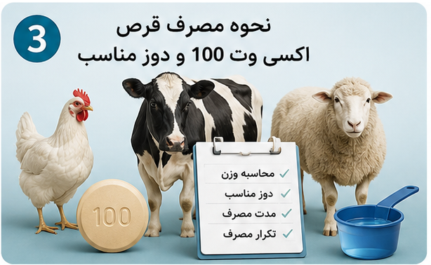 قرص اکسی وت ۱۰۰ برای چیست