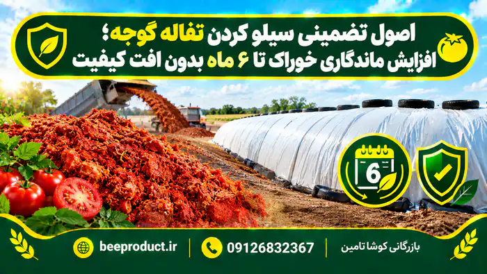 خرید تفاله گوجه