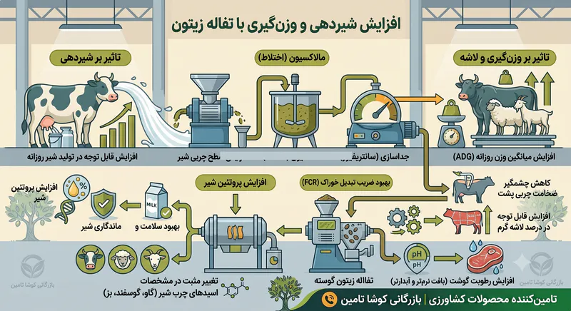 تفاله زیتون