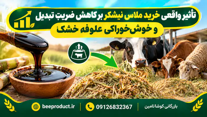 خرید ملاس نیشکر