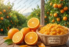تفاله پرتقال